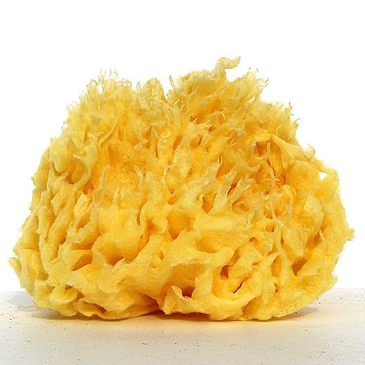 그리스 천연 스폰지는 목욕 경험을 어떻게 향상시킬 수 있습니까?